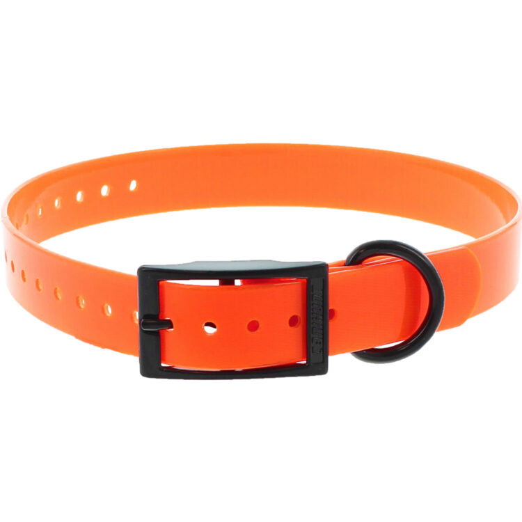 Collier orange pour chien