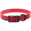 Collier X-TREME boucle double pour chien