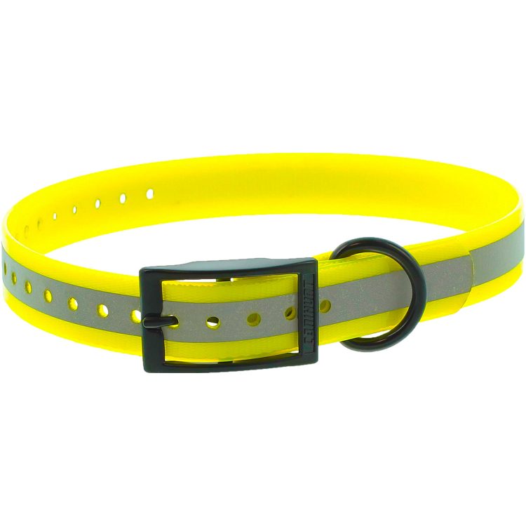 Collier X-TREME réfléchissant pour chien