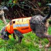 Gilet Protect ECO pour chien