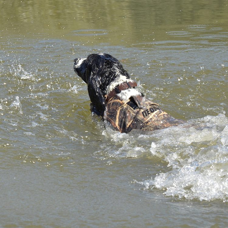 Gilet de flottaison neopro v2 pour chien