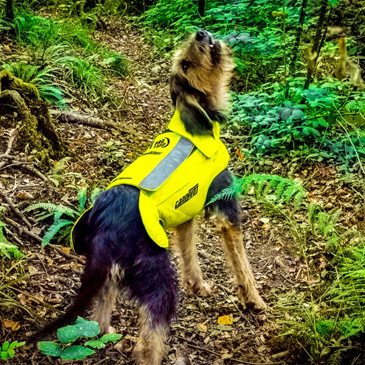 Gilet Protect PRO CANO pour chien