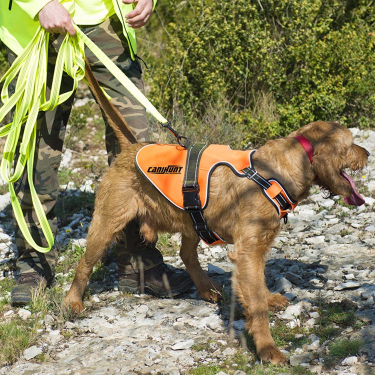 Harnais signal pour chien