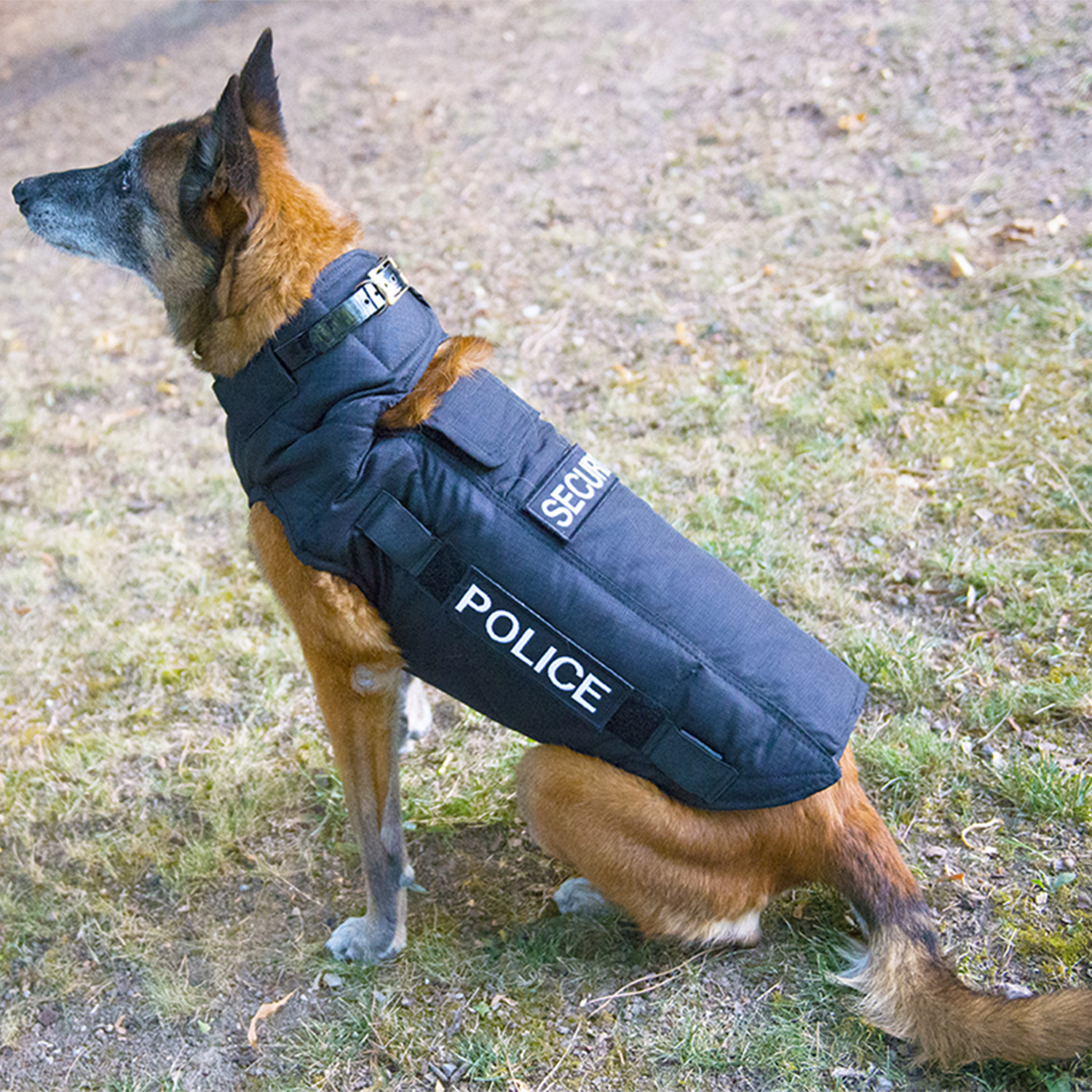 Gilet de Sécurité pour Travail de Chien de Recherche Homme/Femme