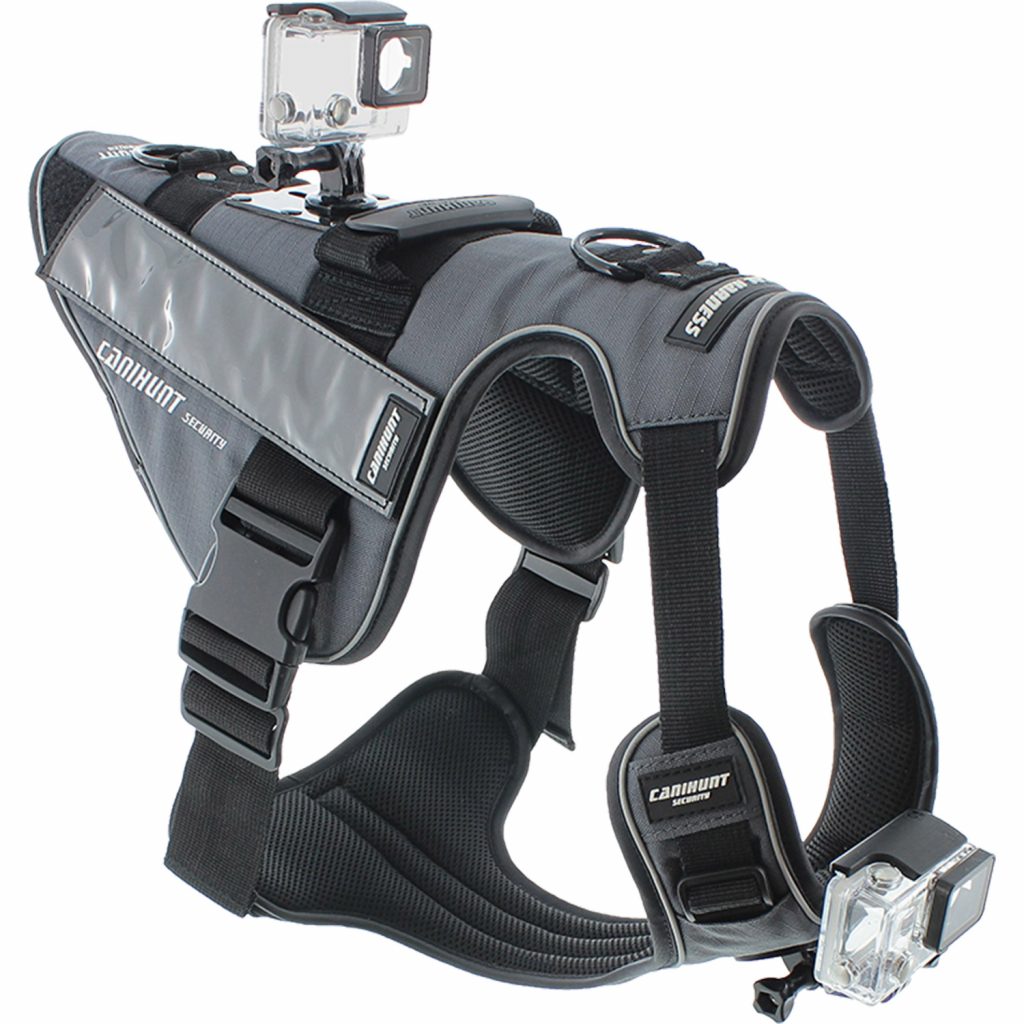 canihunt harnais