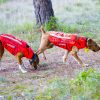 Gilet de protection pour chien