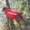 Gilet de protection pour chien