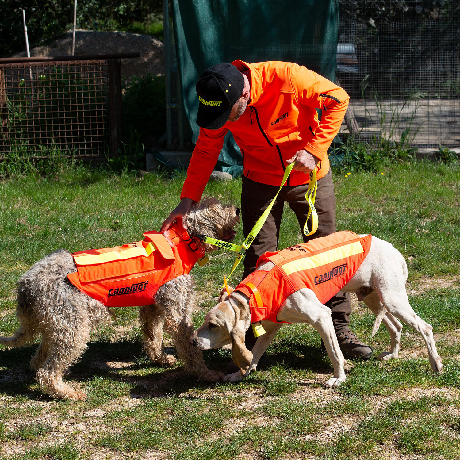 PROTECT PRO Kevlar. Gilet de protection pour chien de chasse, gilet harnais  sport canin : Morin, équipements de sport canin