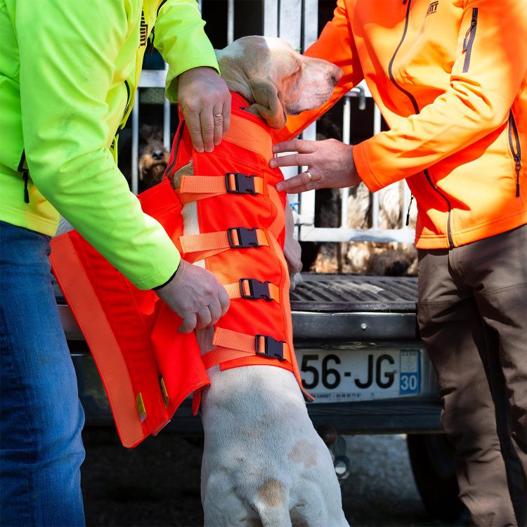 Gilet de protection pour chien