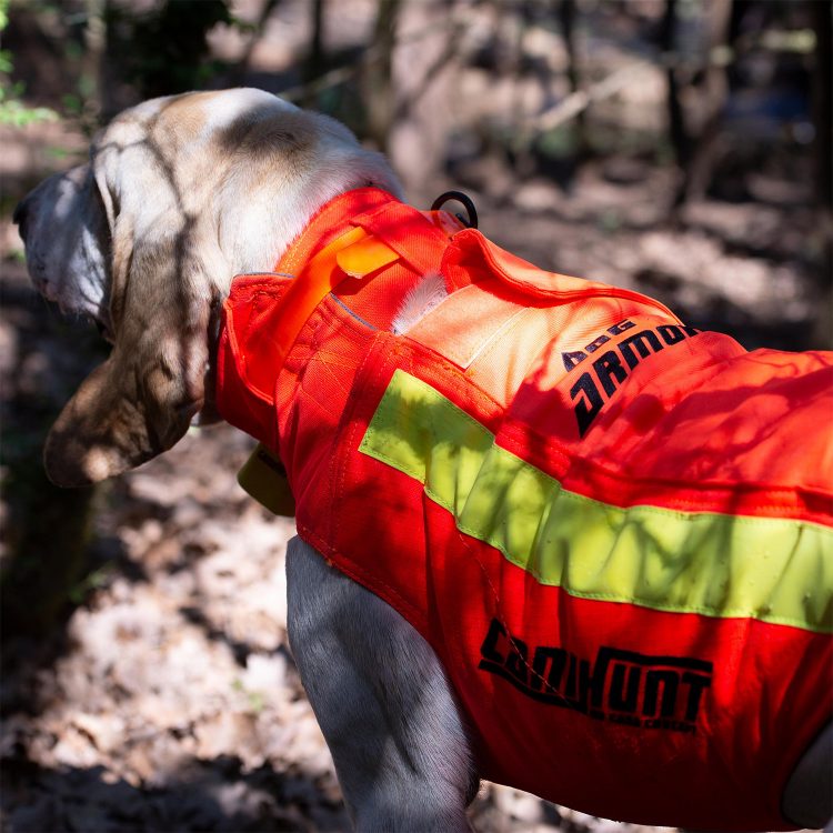 Gilet de protection pour chien