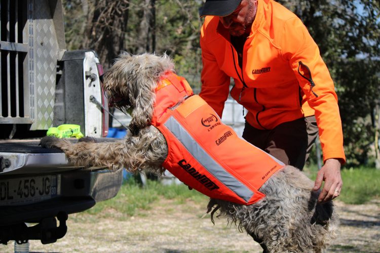 Gilet de protection pour chien de chasse PROTECT PRO L'ORIGINAL