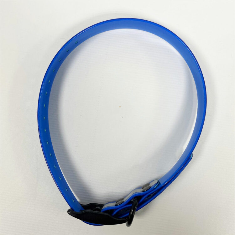 Collier réfléchissant bleu 2