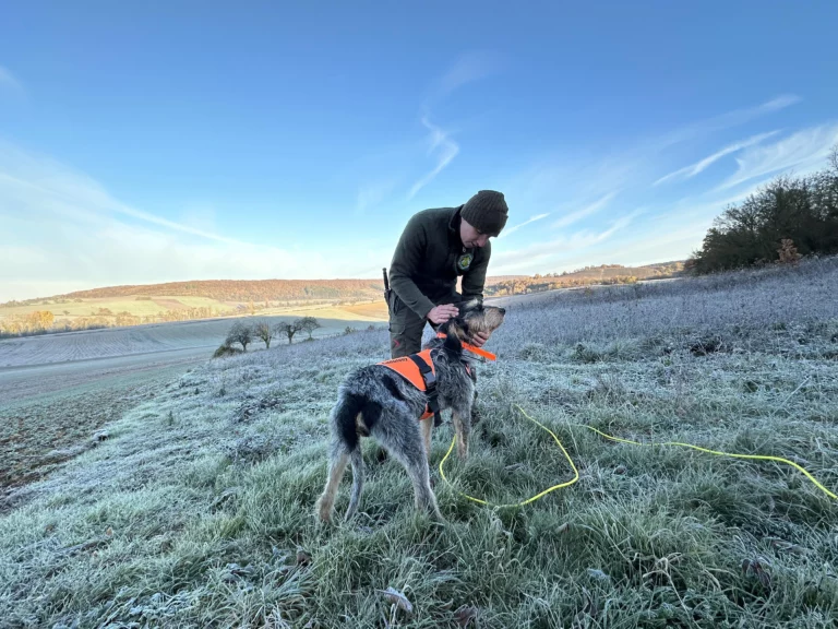 Le lien entre un chasseur et son chien de chasse